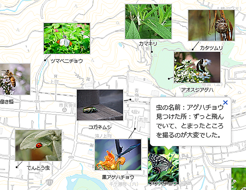 小学生の自由研究に